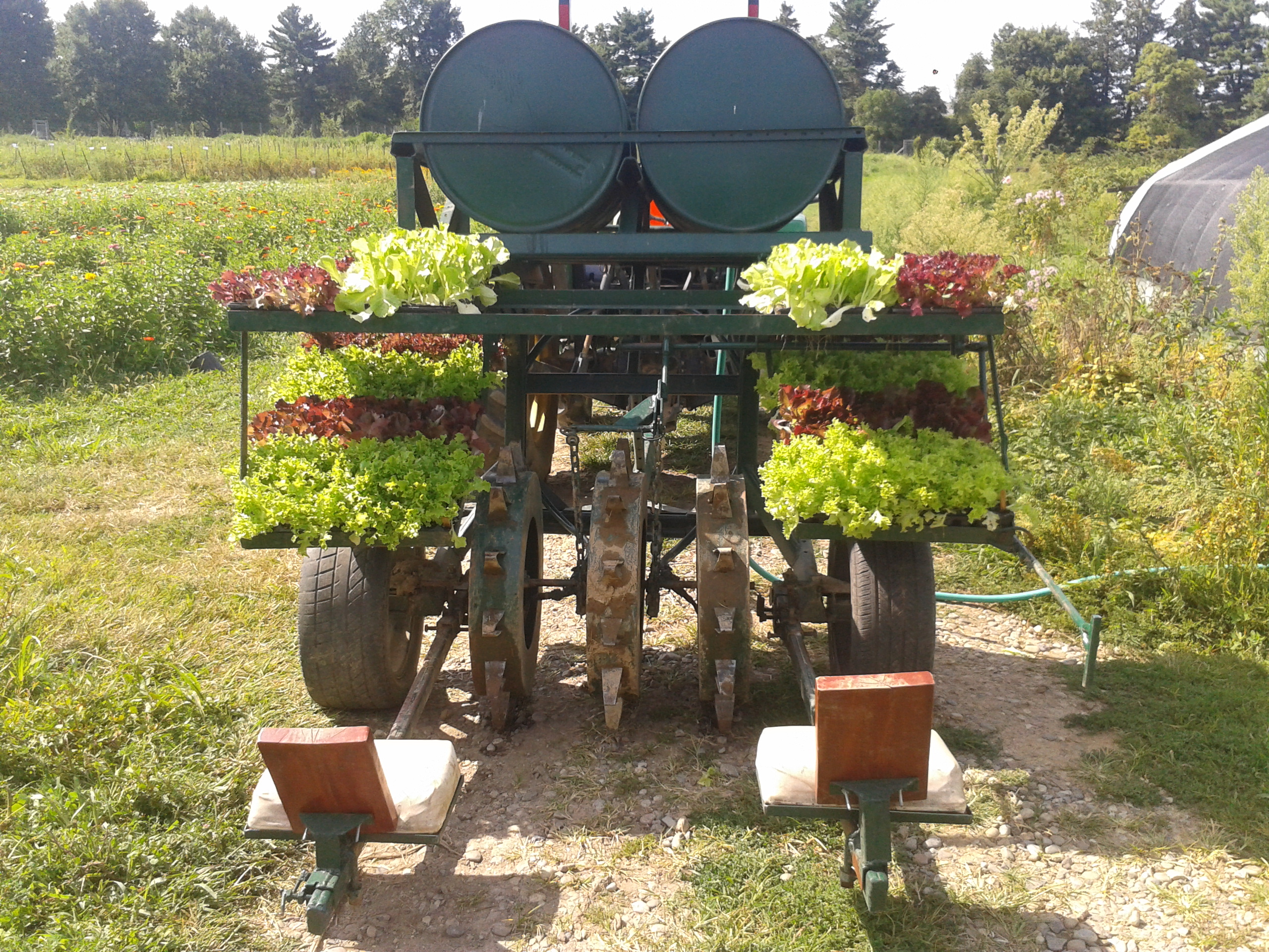 Search results Farm Hack